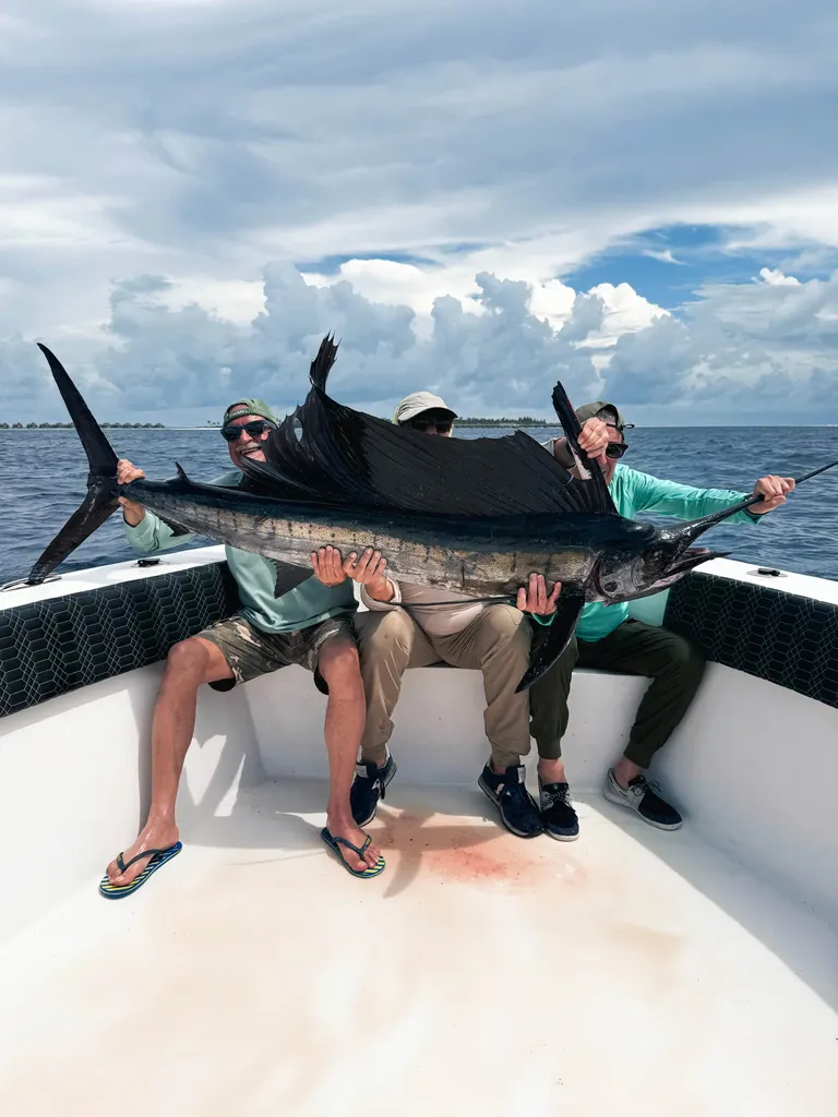 Sailfish jumping deep sea fishing Maldives